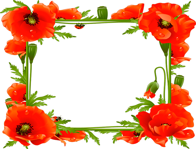 Download Poppy Frame Clipart Common Poppy Picture Frames - Poppies Frame - Png Download (665x505), Png Download