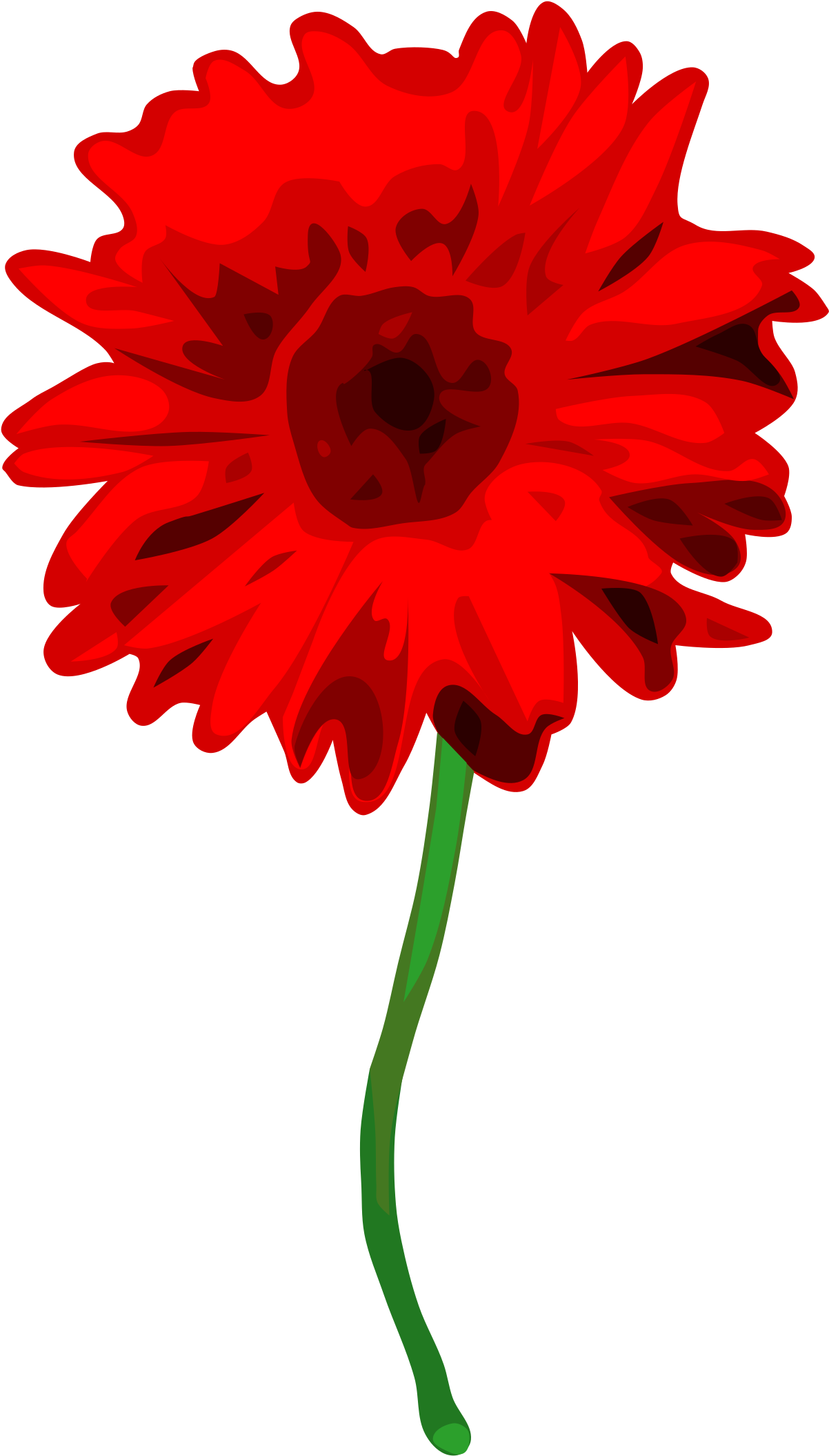 Gerbera Clipart Small - Red Carnation No Background - Png Download (1806x2400), Png Download