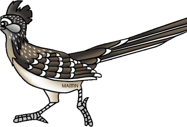 New Mexico Roadrunner Clipart (640x480), Png Download