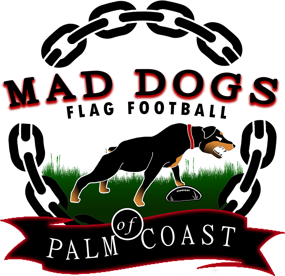 Mad Dogs Flag Football - Dog Catches Something Clipart (1000x1002), Png Download