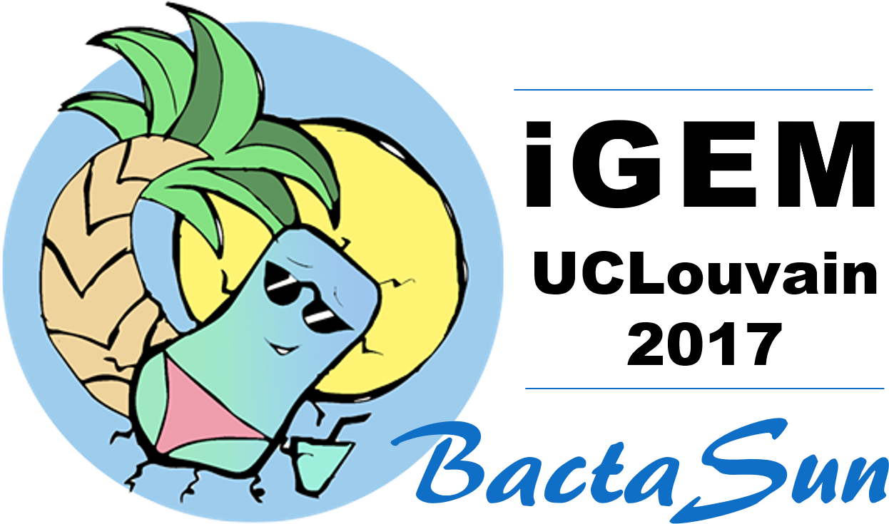 Logo - Boston Clipart (1635x885), Png Download