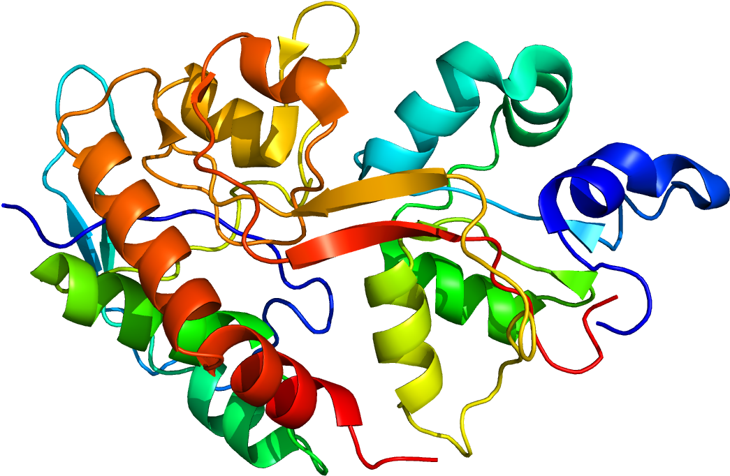 Graphic Design Clipart (1200x1000), Png Download