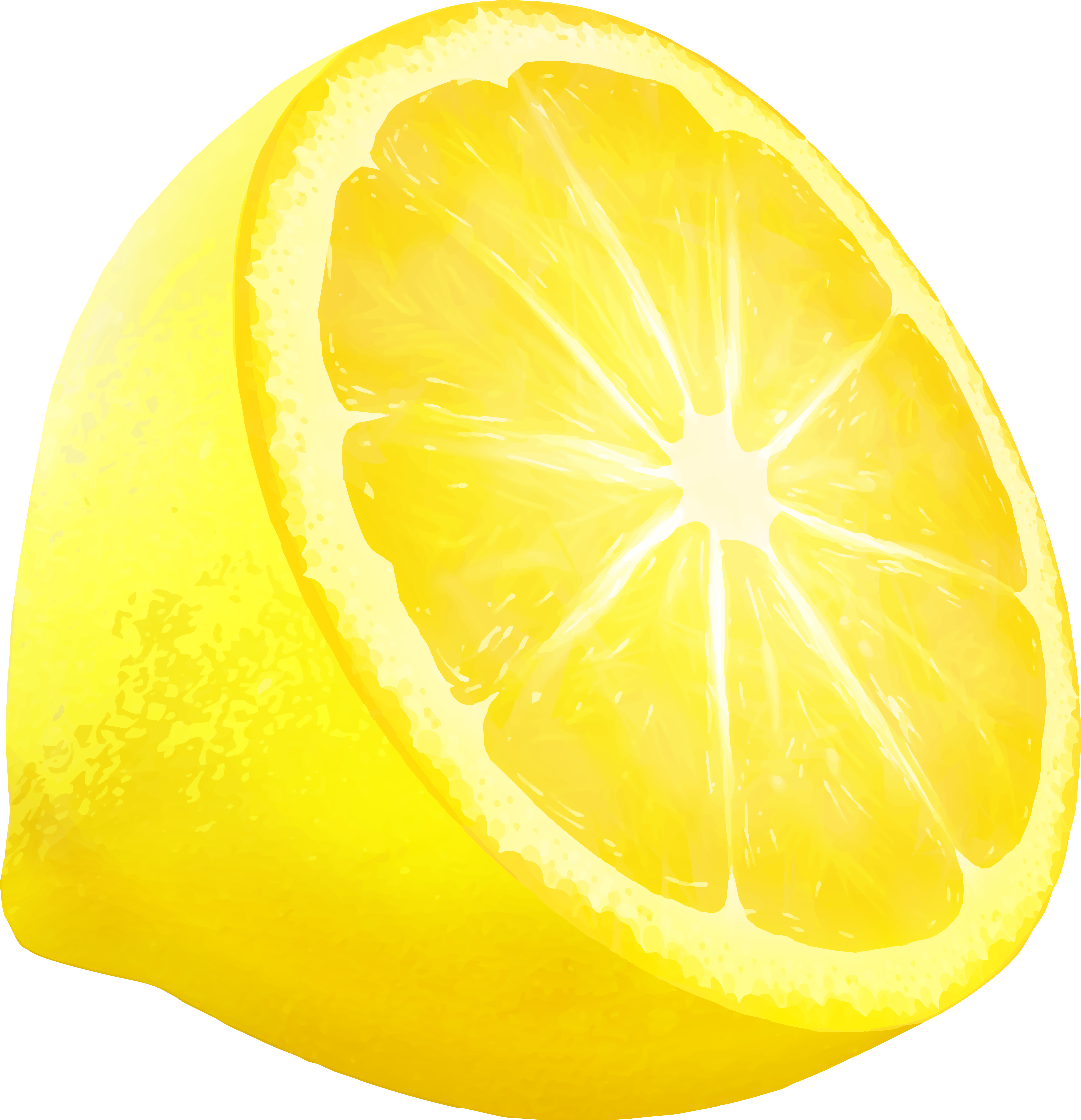 Citrus Clipart - Png Download (7722x8000), Png Download