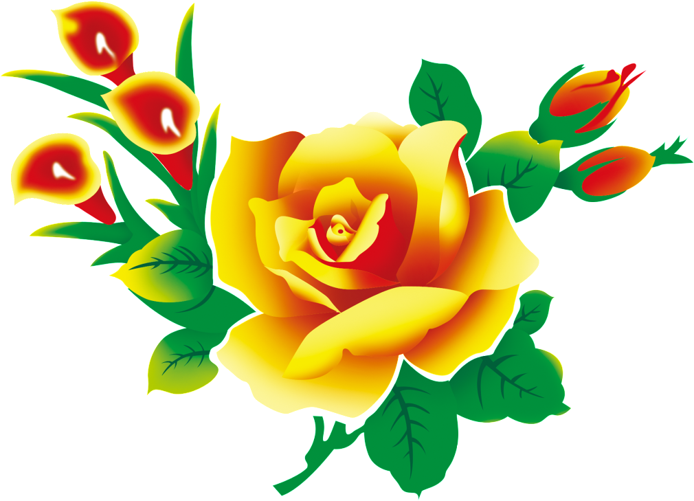 Calla Lily Beautiful Flowers Hand Painted - Flowers Psd Clipart (1024x1024), Png Download