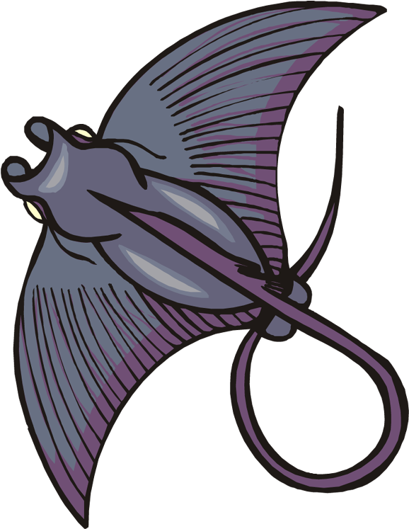 Stingray Clipart - Baby Stingray - Png Download (585x750), Png Download