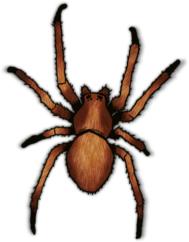 Kankuamo Marquezi Clipart (560x560), Png Download