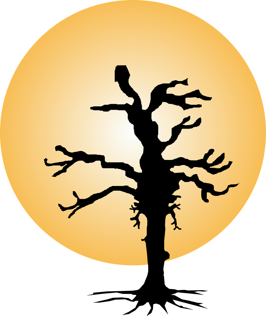 Corujas 2 - Minus - Illustration Clipart (900x1071), Png Download