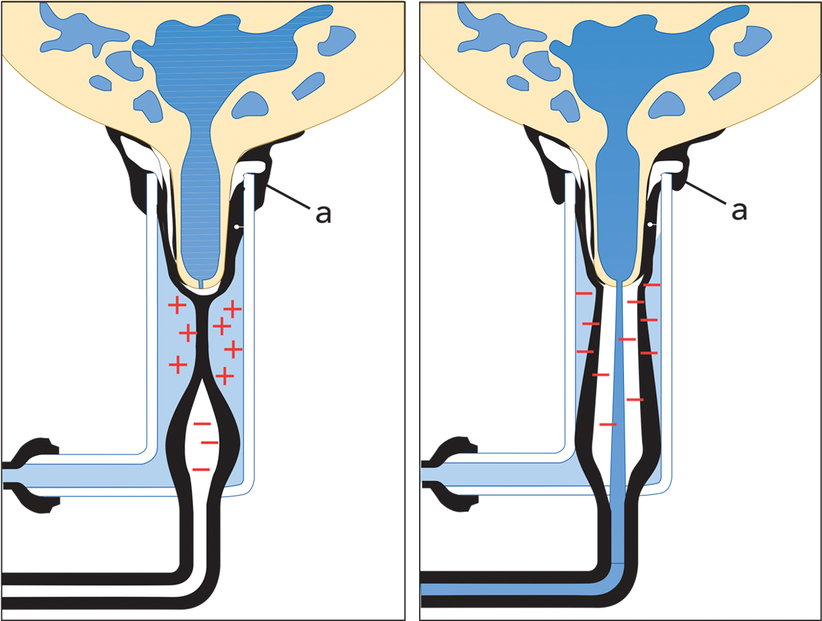 Zoom - Hệ Thống Vắt Sữa Clipart (1200x924), Png Download