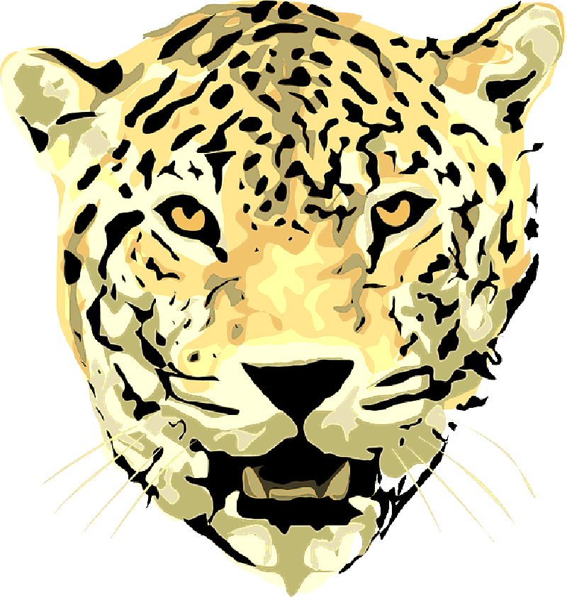 Wild Heads Silhouette Of Lion Head Colouring Pages - Leopard Head With Empty Background Clipart (800x843), Png Download