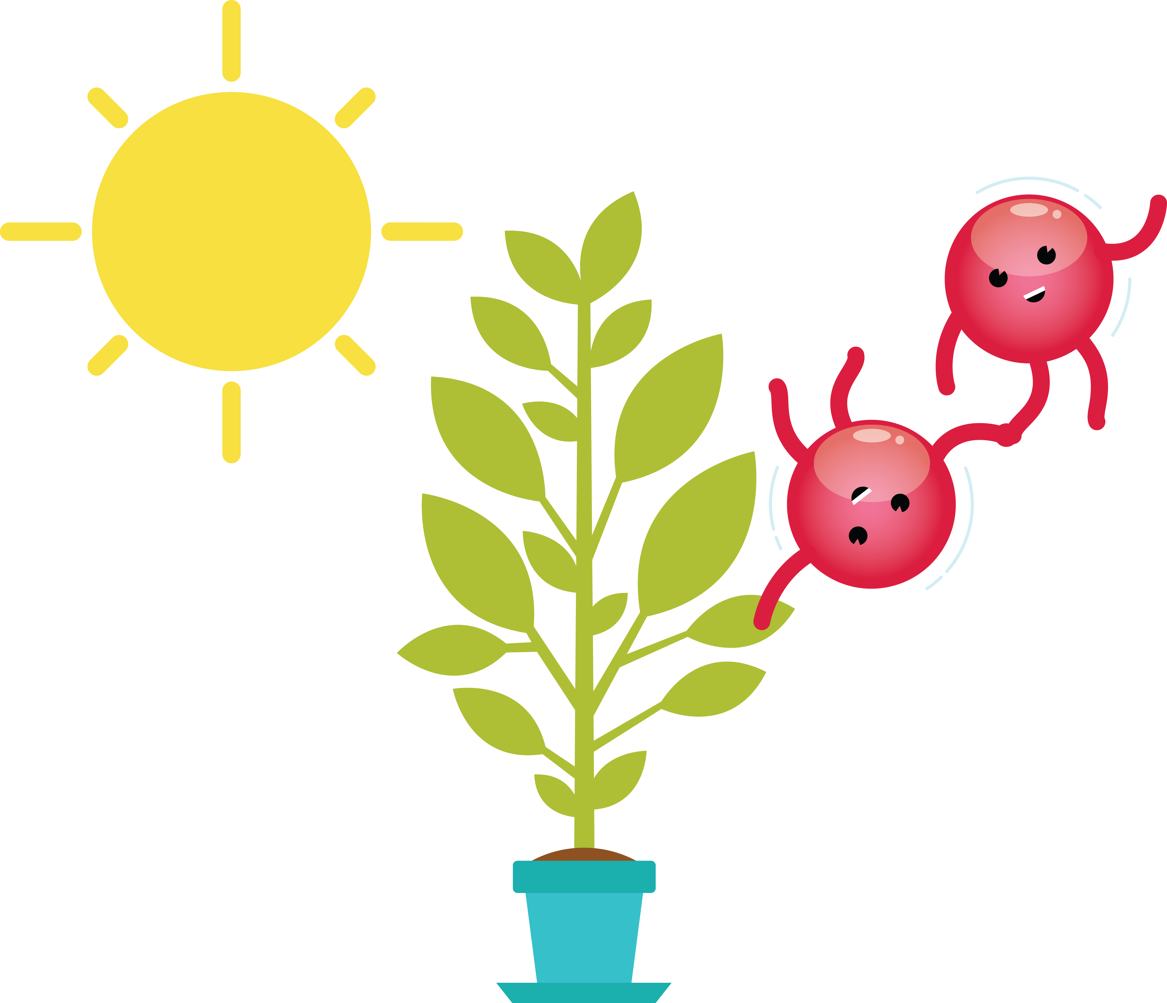 Download Oxygen Molecule With Plant And Sun Clipart (4902x4211), Png Download