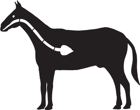 Degree Programs - Horse Clipart (600x600), Png Download