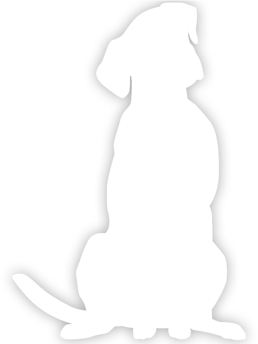 White Dog Silhouette - White Dog Silhouette Transparent Clipart (768x703), Png Download