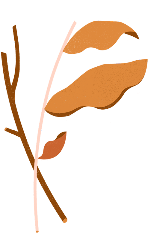 Dryness & Rough Texture Clipart (665x775), Png Download