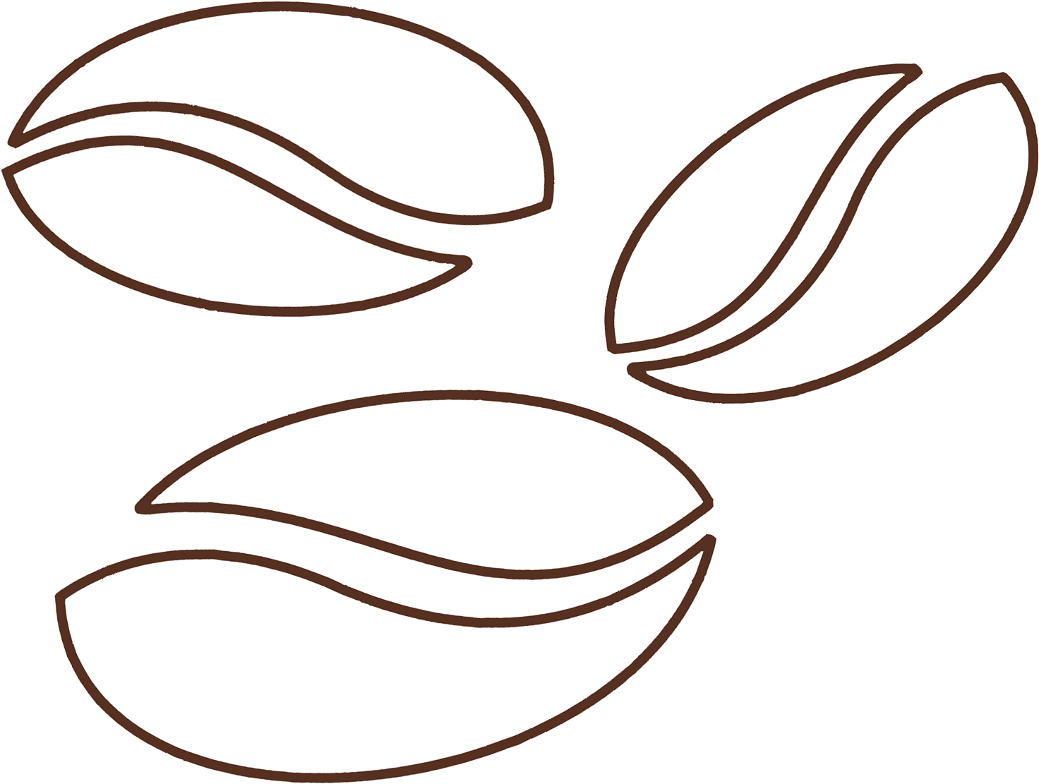 We Roast Our Own Beans - Chiocciola Clipart (1512x1500), Png Download