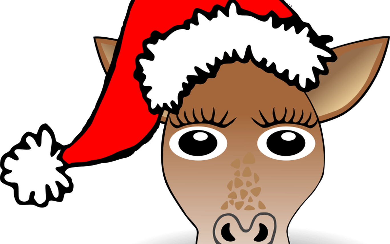 Free Santa Cartoon Images, Download Free Clip Art, - Bonnet De Noel Dessin - Png Download (1368x855), Png Download