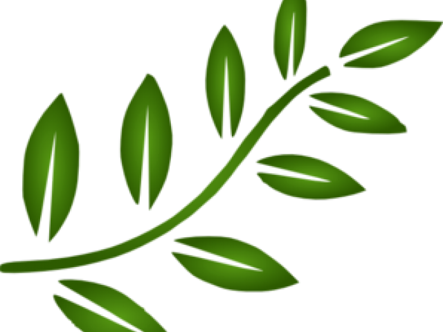 Branch Leaves Cliparts - Leaves Branch Clipart Black And White - Png Download (640x480), Png Download