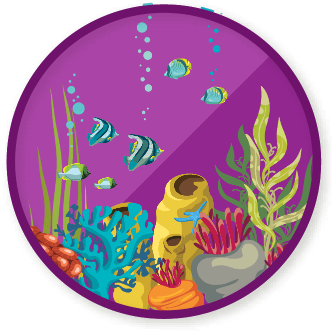 Win A Badge - Circle Clipart (689x689), Png Download