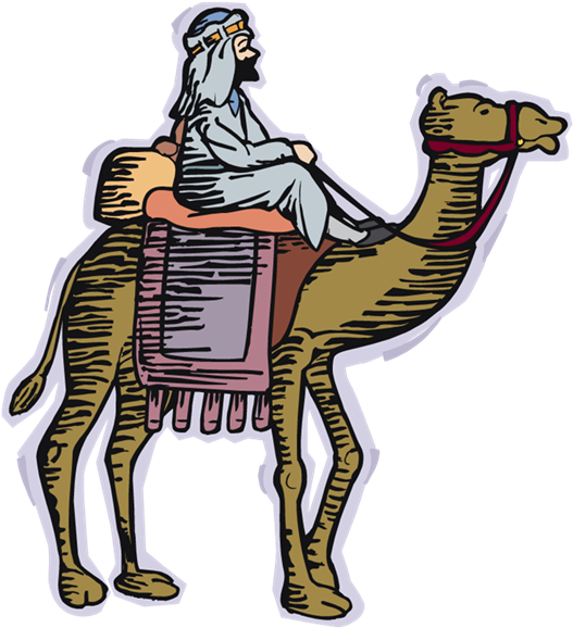 You Might Also Like - Верблюде Png Clipart (800x600), Png Download