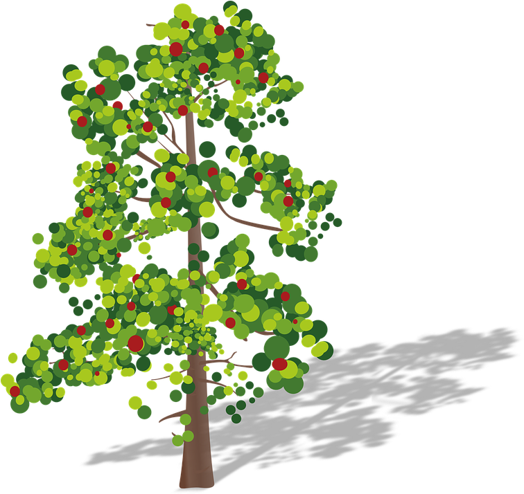 Arbre,tubes,png - Oxygen Cycle Fill In The Blank Clipart (600x572), Png Download