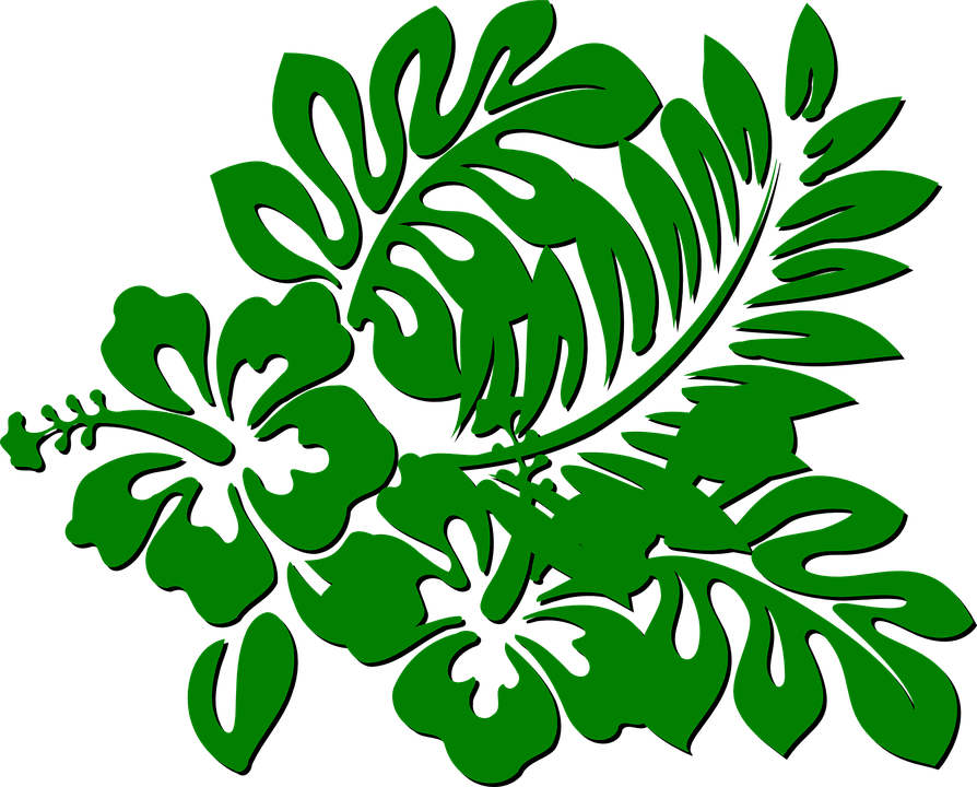 Green Leaves Clipart Forest Leaves - Hibiscus Clip Art - Png Download (894x720), Png Download