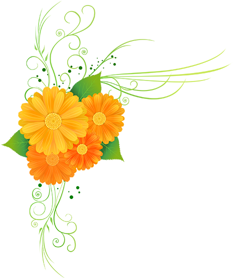 Flower Clipart Mayflower - Güzel Sözler Logo - Png Download (555x555), Png Download