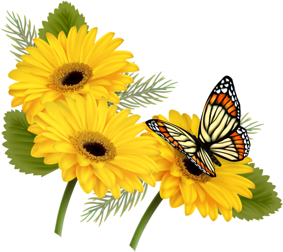 Mayflower Clipart Gerbera Flower - Whatsapp Saturday Good Morning - Png Download (600x518), Png Download