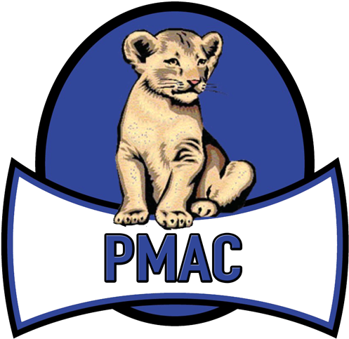 Welcome To The Primary Multiage 1/2 Team Page - Lion Cub Clip Art - Png Download (600x600), Png Download