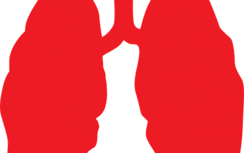 Strados Labs Clipart (800x500), Png Download