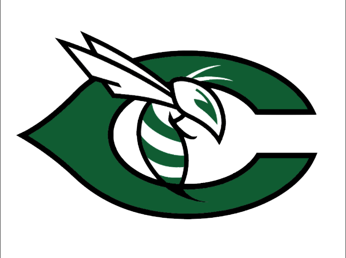 Carter Hornets - Carter High School Hornets Clipart (705x526), Png Download