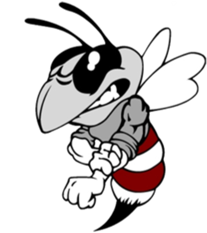 Athens Texas High School Mascot Clipart (720x828), Png Download