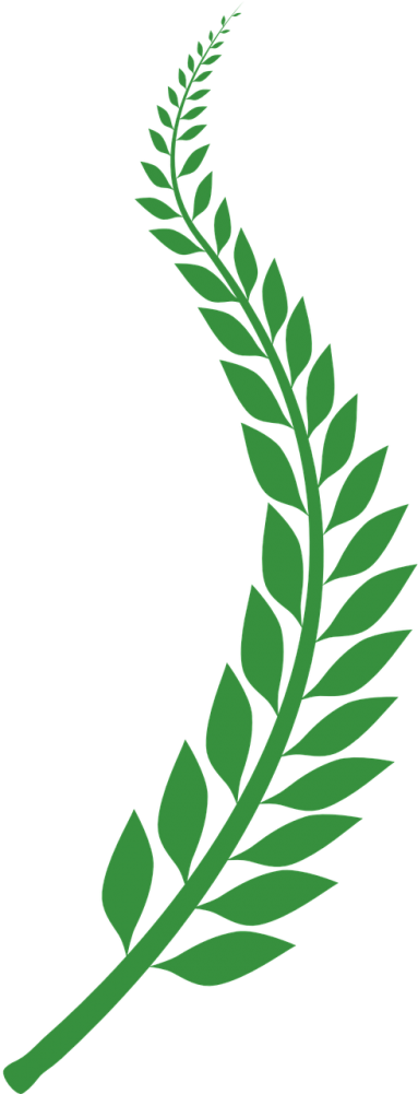 Free Photos Laurel Wreath Search Download Needpix - Wheat Background Transparent Png Clipart (500x1000), Png Download