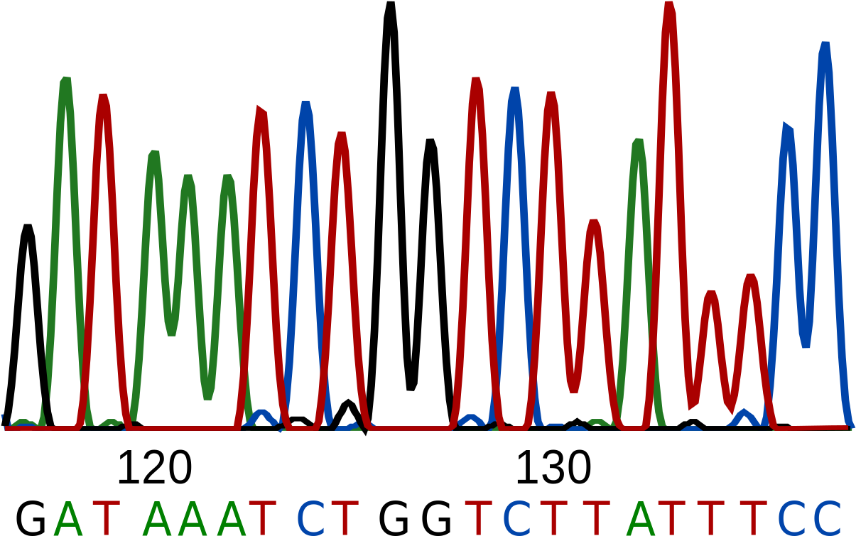 girl-scout-junior-detective-badge-clipart-full-size-clipart-771106