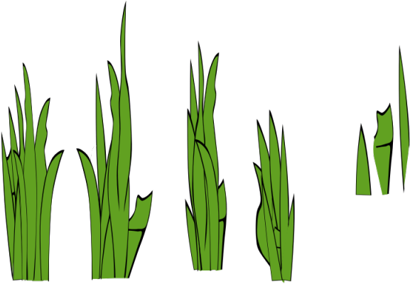 Stone Clipart Grass Clump - Grass Clip Art - Png Download (640x480), Png Download