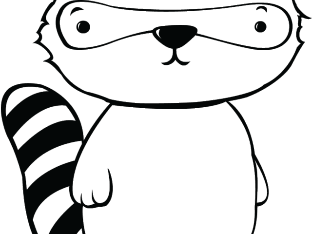 Raccoon Clipart Raccoon Drawing - Raccoon Drawing - Png Download (640x480), Png Download