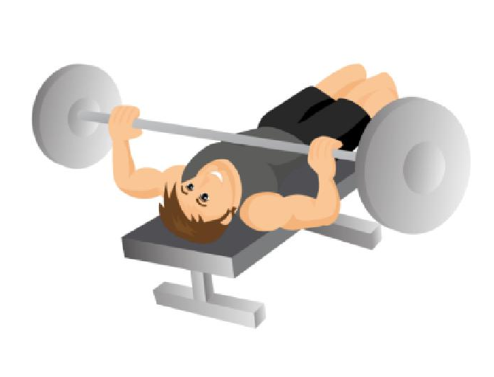 Exercise Bench Clipart Bmi - Exercise - Png Download (1754x1240), Png Download