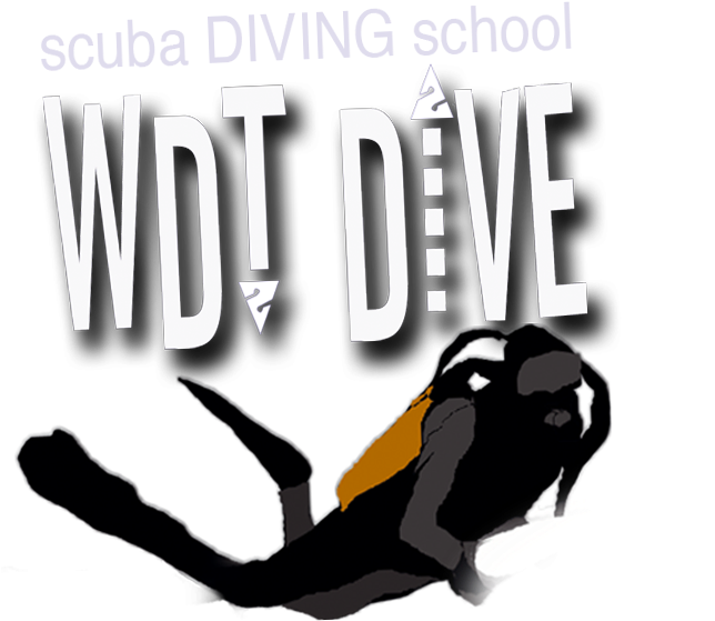 "you Dive Like You Train" - Illustration Clipart (707x636), Png Download