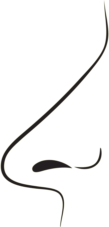 To Showcase How Years Of Hard Work, From A Selection Clipart (444x899), Png Download