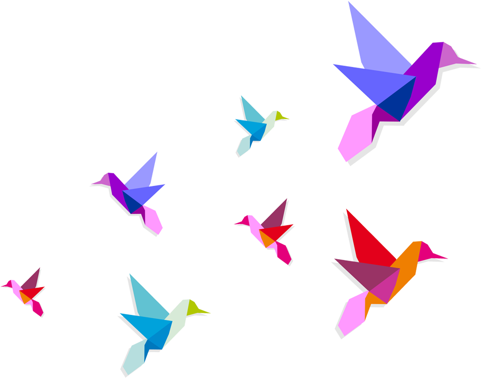 Birds Flying Picture - Breaking Free From Myths About Teaching And Learning: Clipart (958x784), Png Download