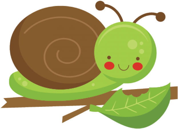 Original - Clipart Snail On A Leaf - Png Download (640x480), Png Download