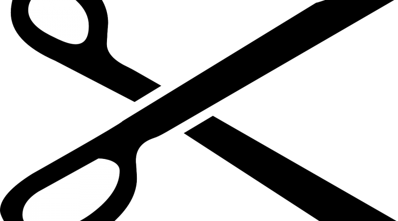 Best Professional Hair Reviews Grooming Tips - Clip Art - Png Download (800x445), Png Download