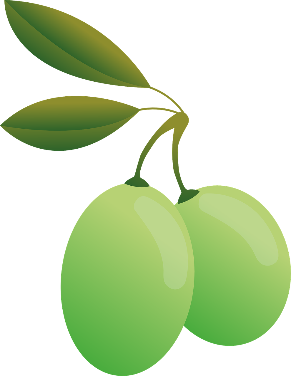 Food, Olives Green Oil Olive Plants Food Green O - Olives Transparent Clipart (989x1280), Png Download