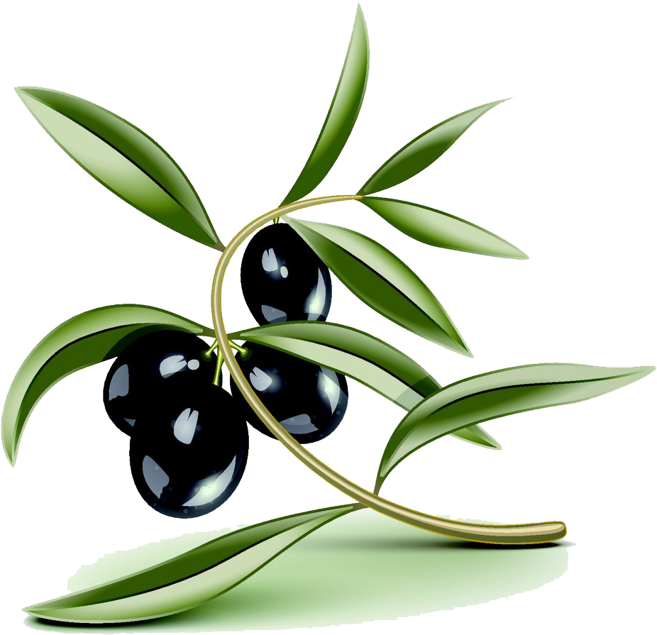 Olive Oil Stock Photography Cartoon Pictures - Hoja De Olivo Fondo Transparente Clipart (1000x953), Png Download