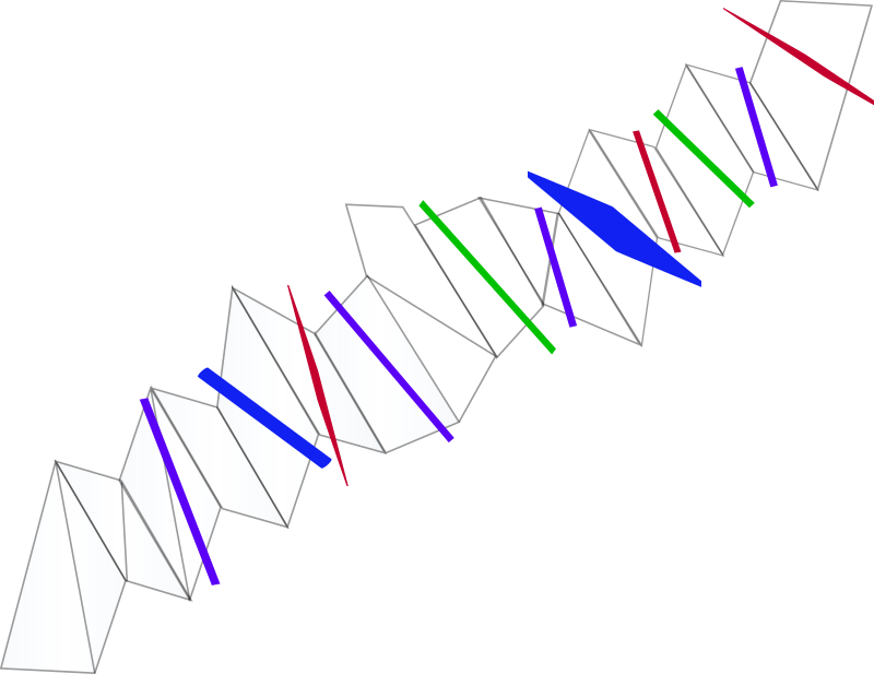 Transit Clipart Free For Download - Photography - Png Download (800x617), Png Download