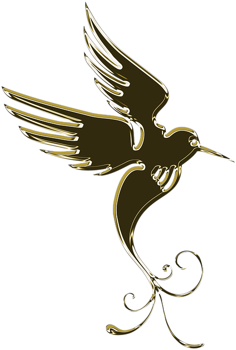 Publicat De Eu Ciresica La - Uccello Stilizzato Png Clipart (720x720), Png Download