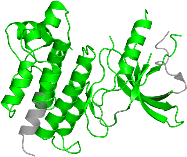 Illustration Clipart (800x800), Png Download