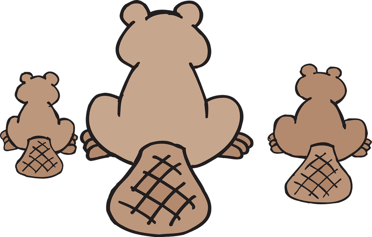 Tail Clipart Vector - Canadian Beaver Throw Blanket - Png Download (960x613), Png Download