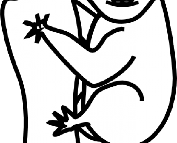 Koala Clipart Png Transparent Png (640x480), Png Download