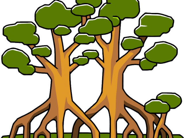 Alligator Clipart Swamp Tree - Mangrove Cartoon - Png Download (640x480), Png Download