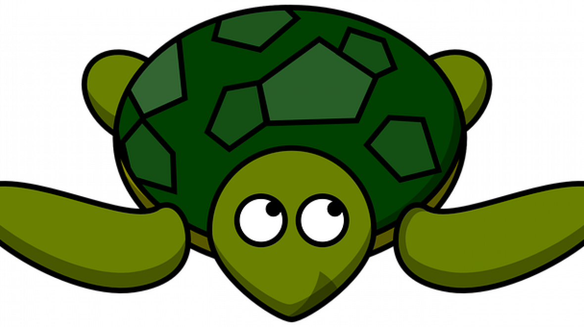 Did You Know That Leatherback Sea Turtles Forage For - Cartoon Turtle No Background Clipart (1180x660), Png Download