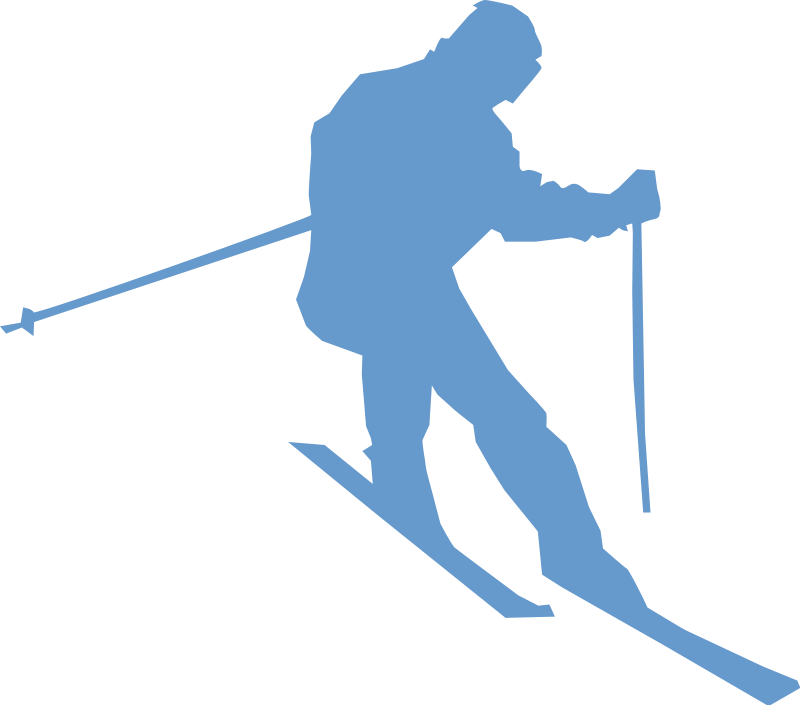 Clip Arts Related To - Ski Png Transparent Png (800x705), Png Download